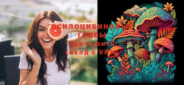стаф Баксан