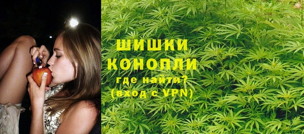 стаф Баксан