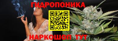 крисы Гусиноозёрск